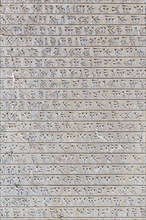 Cuneiform inscription at the walls of Apadana palace and staircase