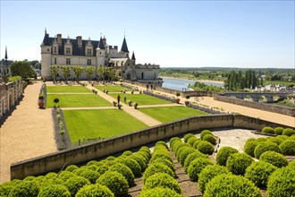 Amboise castle and gardens