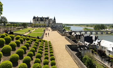 Amboise castle and gardens