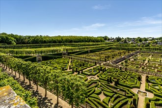 Gardens of Chateau de Villandry