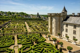 Chateau de Villandry and its gardens