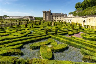 Chateau de Villandry and its gardens