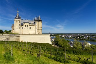 Chateau de Saumur on the banks of the Loire river