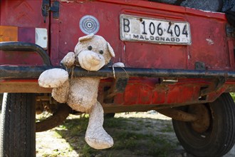 Stuffed animal hangs on bumper on rusty car