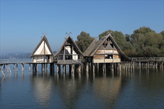Stilt houses