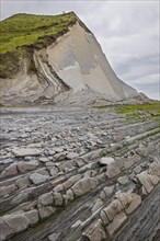 Flysch