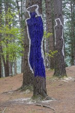 Painted tree trunks