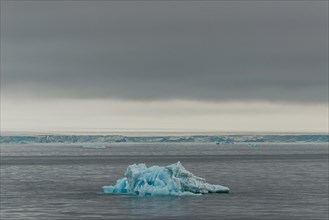 Small iceberg off the Austfonna glacier