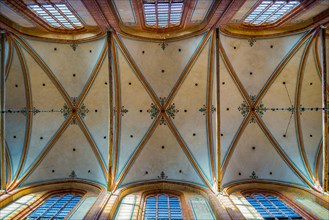 Ceiling vault of the church St. Nikolai