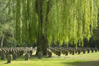 Stone crosses under weeping willow