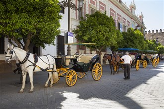 Horse-drawn carriages at Plaza del Triunfo