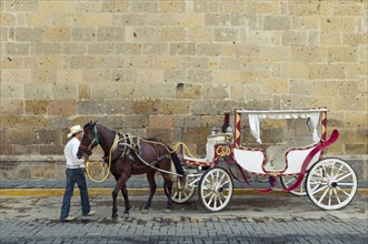 Horse carriage and driver