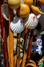 Walking sticks and scallop shells for sale in Santiago de Compostela