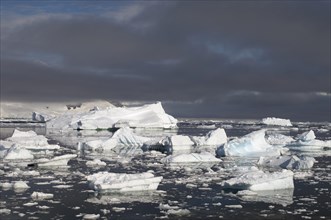 Icebergs in Gerlache strait