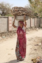 Old woman carrying firewood on head