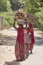 Women carrying firewood on heads