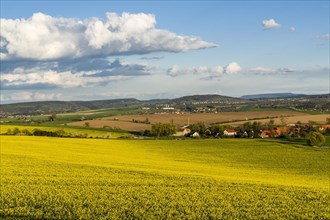 Agricultural landscape with village