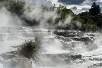 Steam is arising from the hot springs of Saturnia Therme in the morning