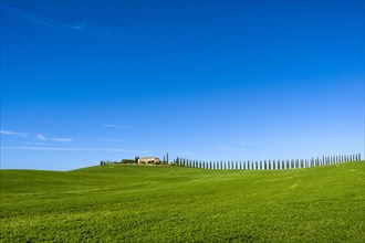 Typical green Tuscan landscape in Bagno Vignoni