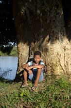 Boy sitting on the tree trunk of a large mango tree (Mangifera indica)