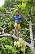 Boy climbing in a tree
