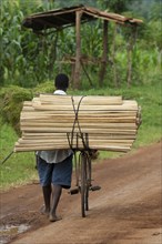 Man pushing bicycle laden with wood along dirt road