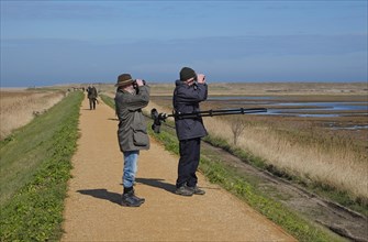 Birdwatchers using binoculars in coastal marshland
