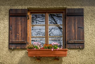 Old window with flower box and flowers