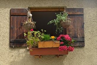 Old window with flower box and flowers
