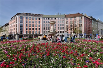 Flowerbeds at Gartnerplatz