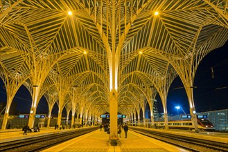 train station Lisbon East at night