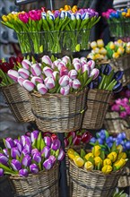 Souvenir wooden tulips