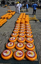 Rounds of Dutch Beemster Cheese