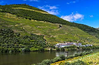 Winery Quinta das Carvalhas on the Douro River