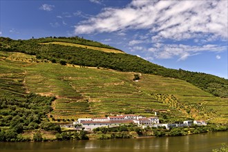 Winery Quinta das Carvalhas on the Douro River