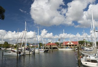Marina with sailing boats in the bay of Whangarei with the large clock of the Claphams Clock Museum