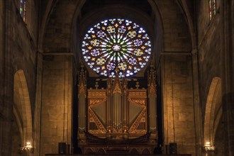 Organ and Glass Rosette