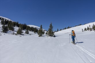 Woman with touring skis in Bergland