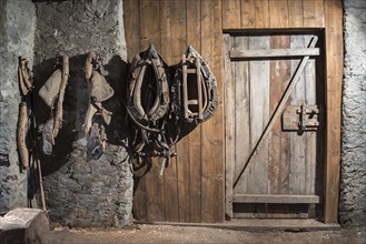 Horse bridle on the wall in the stable