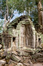 Ancient remains of Ta Prohm temple