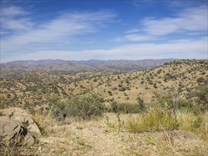 Dry hilly landscape