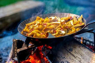 Chanterelles in a pan over an open fire