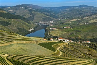 Wine-growing region Alto Douro near Pinhao on the Douro River
