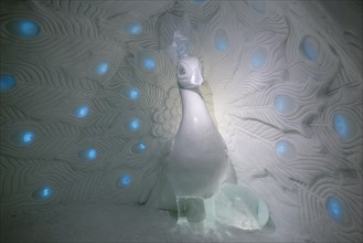 Peacock sculpture made of snow and ice