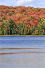 Canisbay Lake in Autumn