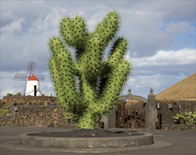 Giant green cactus sculpture