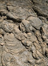 Solidified pahoehoe or ropey lava field