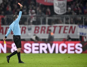 Referee Marco Fritz shows yellow-red card