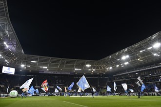 Flag wavers in the stadium in front of the start of a football match of the 1st Bundesliga
