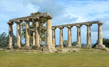 Columns of the Doric Temple of Hera